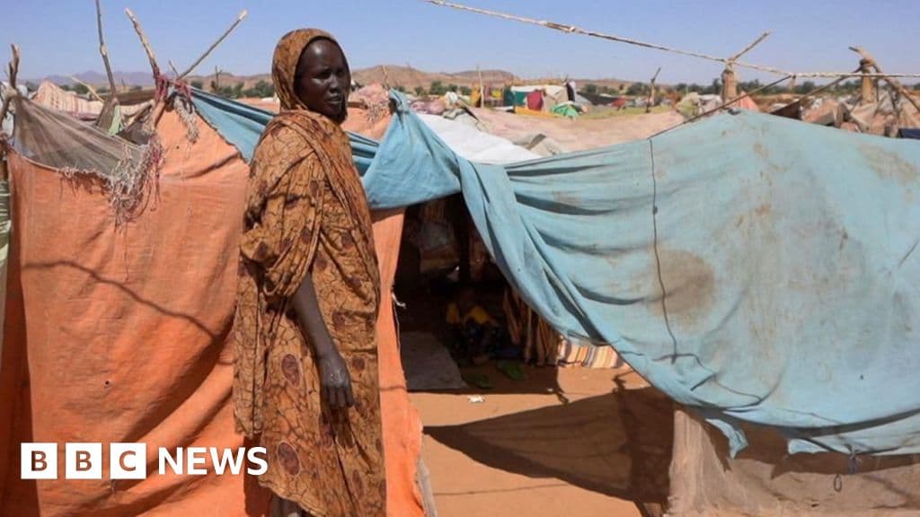 Genocide in Darfur: UN Report Exposes RSF’s Campaign of Extermination