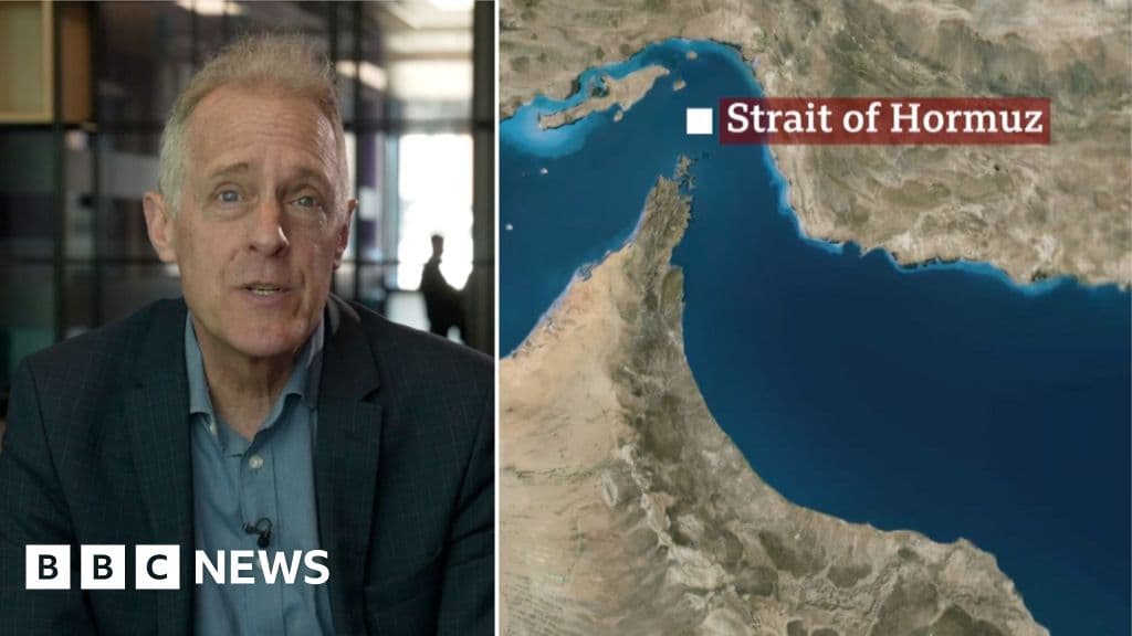 The Strait of Hormuz: A Global Artery Under Siege
