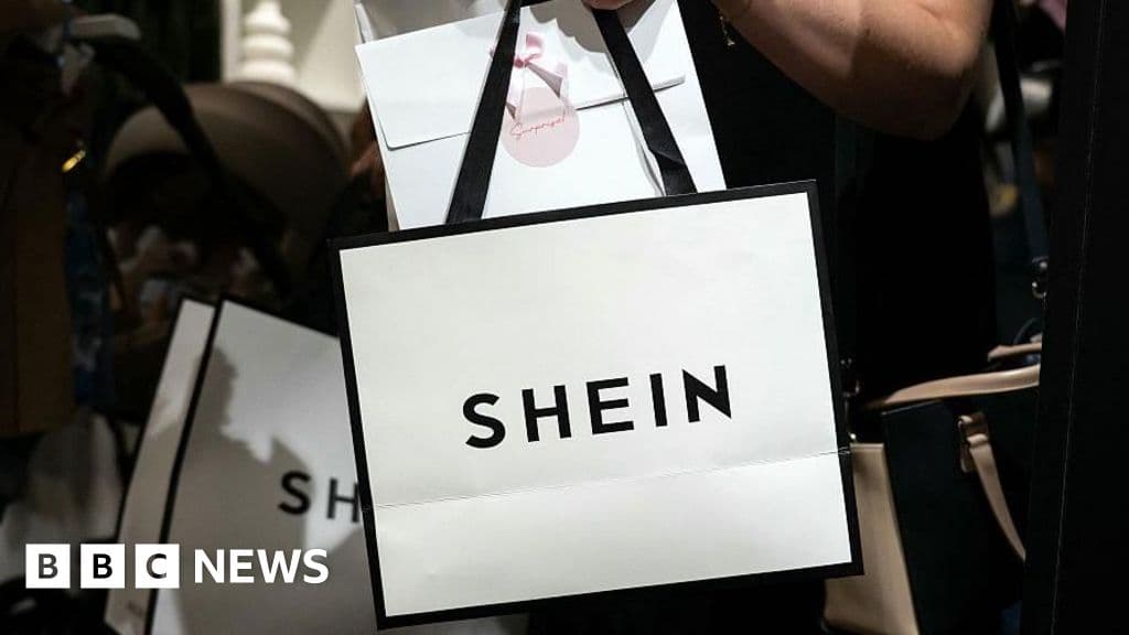 Elusive Shein Boss Hails Chinese Roots in Rare Appearance