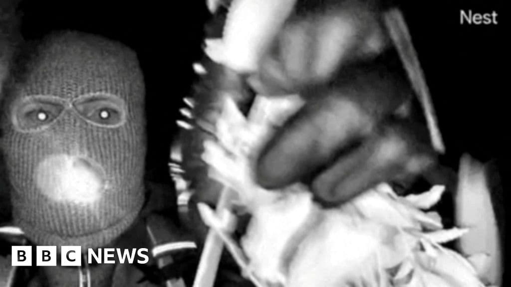 FBI Hunts Mystery Man in Nancy Guthrie Kidnapping