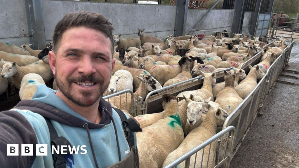 New UK Penalties for Livestock Attacks Force Reckoning for Owners