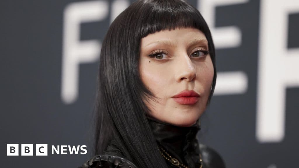 'Serial Pest' Ejected from Lady Gaga Concert Over Safety Fears