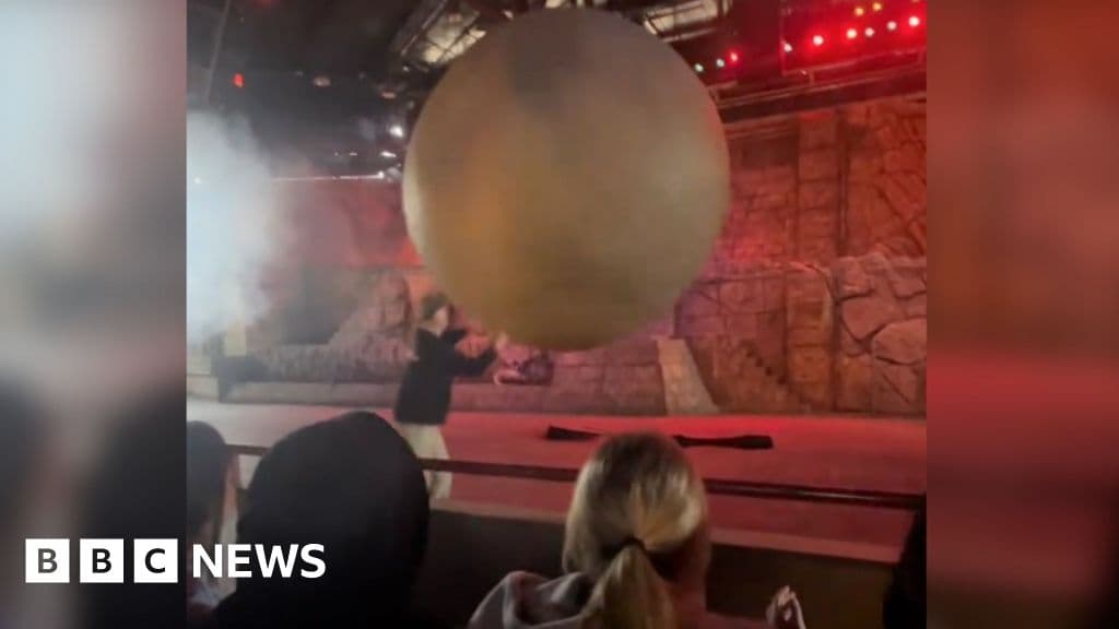 Disney Hero Crushed Stopping 180kg Boulder From Hitting Crowd
