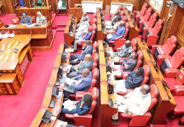 Senate Sounds Alarm Over Plight of Kenyan Workers Abroad