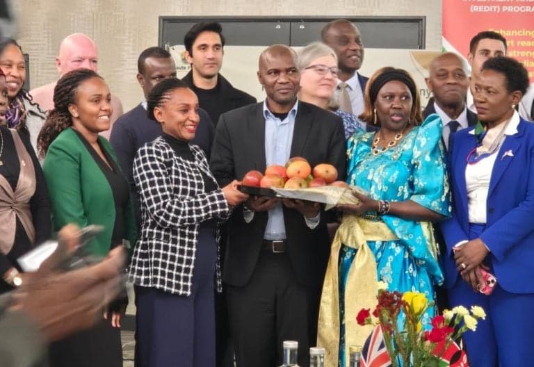 Kenya Cracks UK Market with First Mango Export