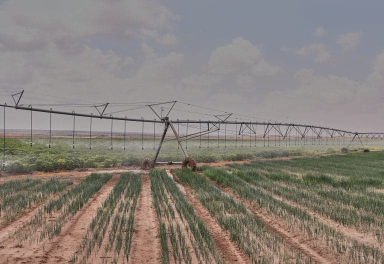 Galana Kulalu's Green Gamble: Can a Ghost Project Feed Kenya?