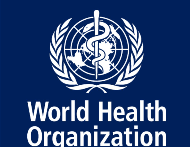 114 Dead: Drones Hunt Medics After Strike on Sudan Kindergarten