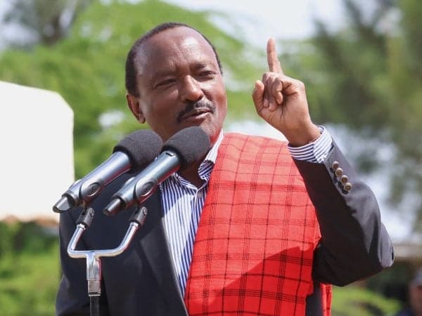 Kalonzo and Gachagua Unite to Blast Northern Governors