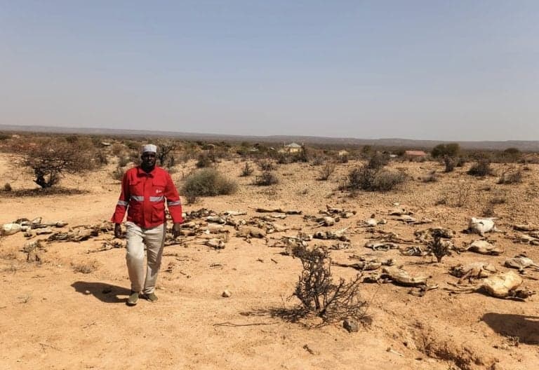 State Opens Coffers: Billions Released to Tame Deepening Drought Crisis