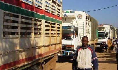 Report: County Levies, Cabotage Rules Inflate Costs, Threaten Kenya's Hub Status