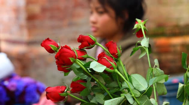 Kenya's Flower Exports to Grow by 20,000 Tonnes in 2025