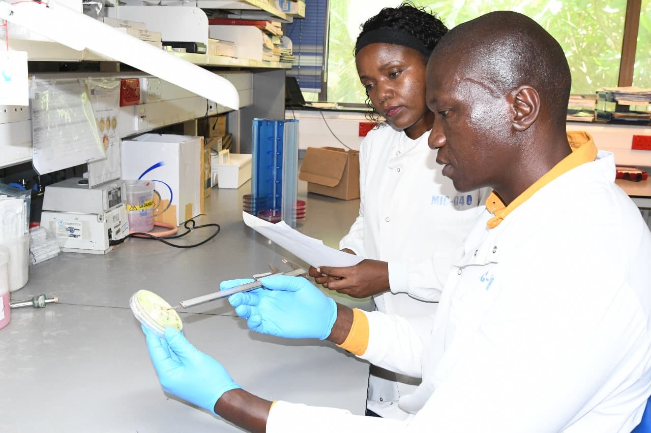 Kenya Tackles Newborn Killer in Landmark Drug Trial