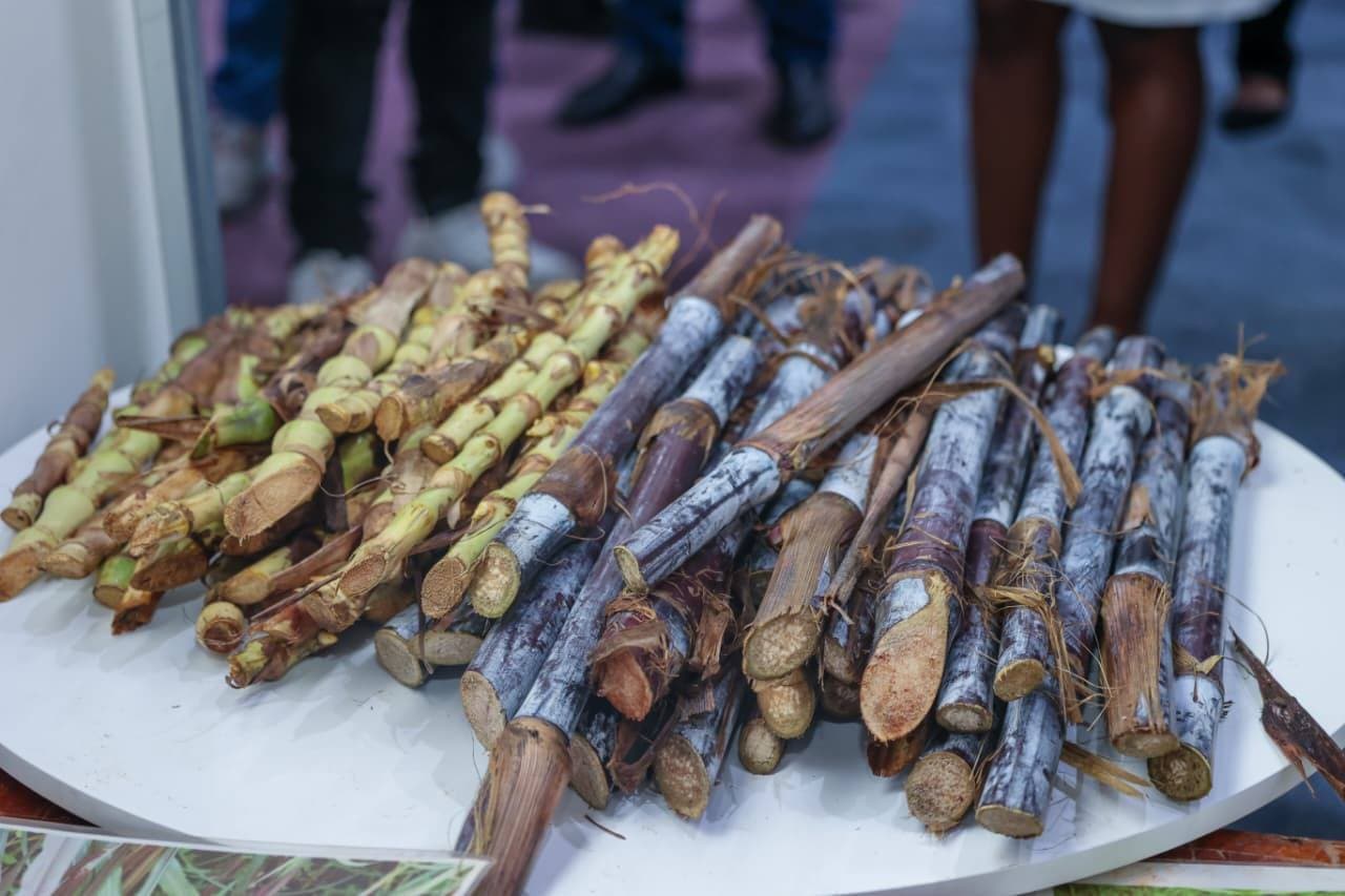 State Leases Ailing Sugar Mills for 30 Years