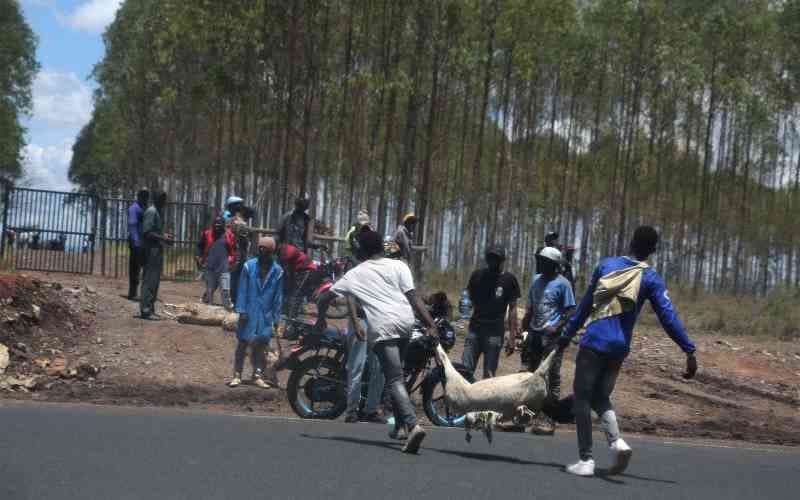 Ichung'wah Accuses Gachagua of Masterminding 2023 Kenyatta Farm Raid