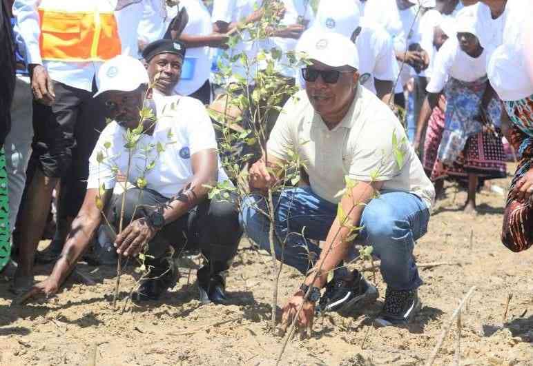 KPA Wins Prestigious Global Award for Marine Restoration Project