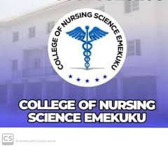 School Of Nursing (S.O.N.), Holy Rosary Hospital, Emekuku. Emekuku, Imo State 2026/2027 Admission/Application Form Call/WhatSApp: 09069994000