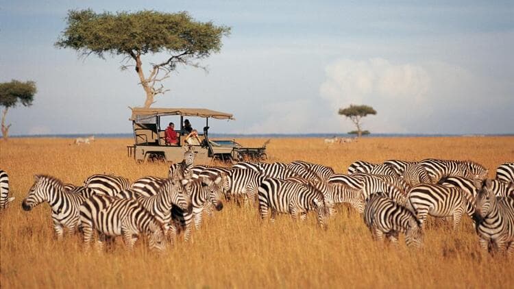 Kenyans' Creativity Boosts Tourism, CS Miano Affirms