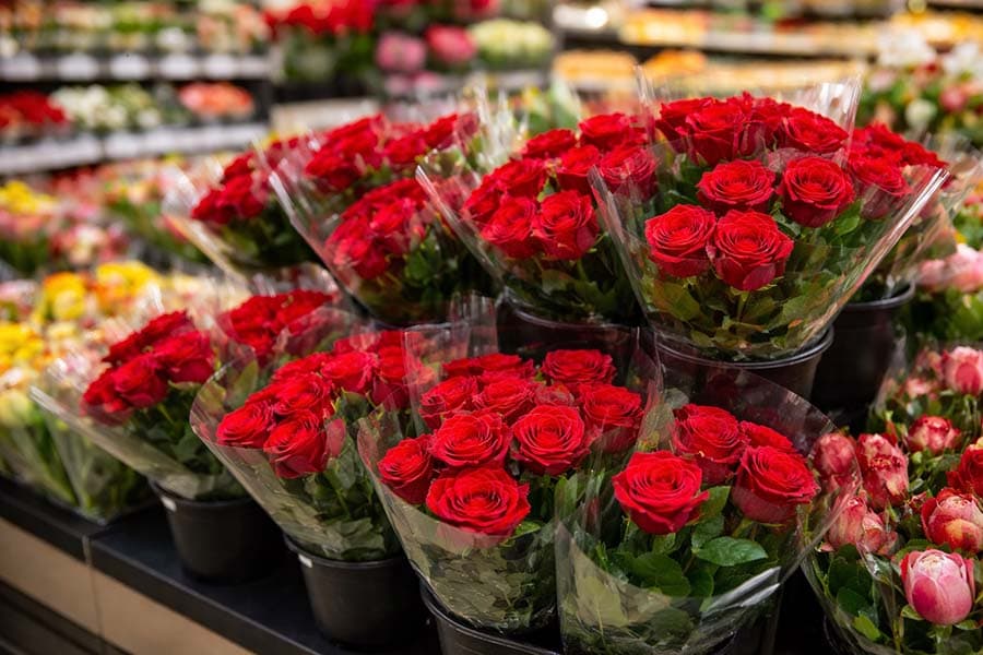 Kenya’s Flower Power: Billions Bloom for Valentine’s