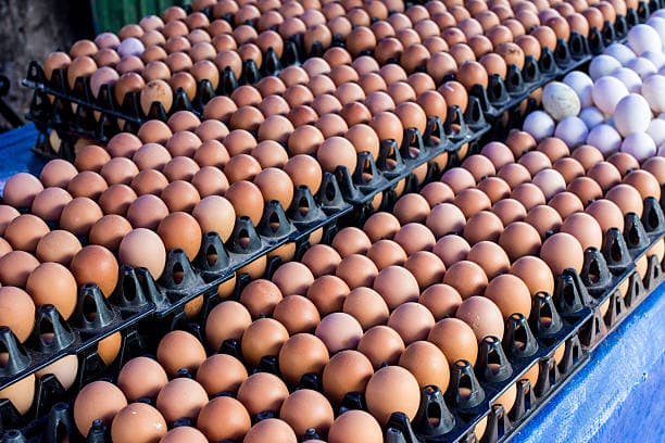 Ramadan: Egg scarcity hits Kano