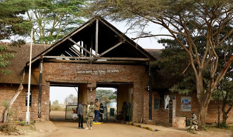 Kenyan Conservationist Sues to Halt Ritz-Carlton Safari Lodge Over Migration Corridor Fears
