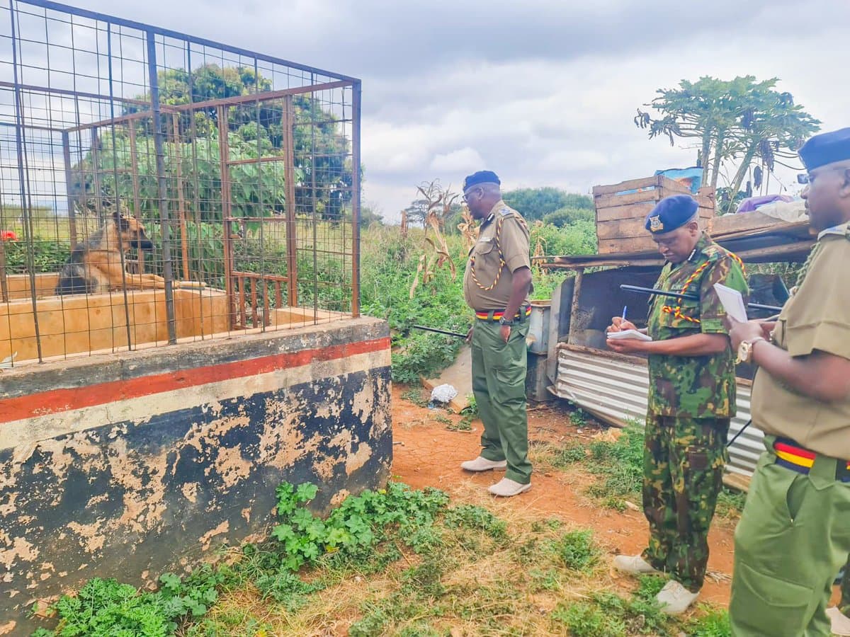 Killer in the Village: Police Hunt Fugitive Terrorizing Makueni Residents