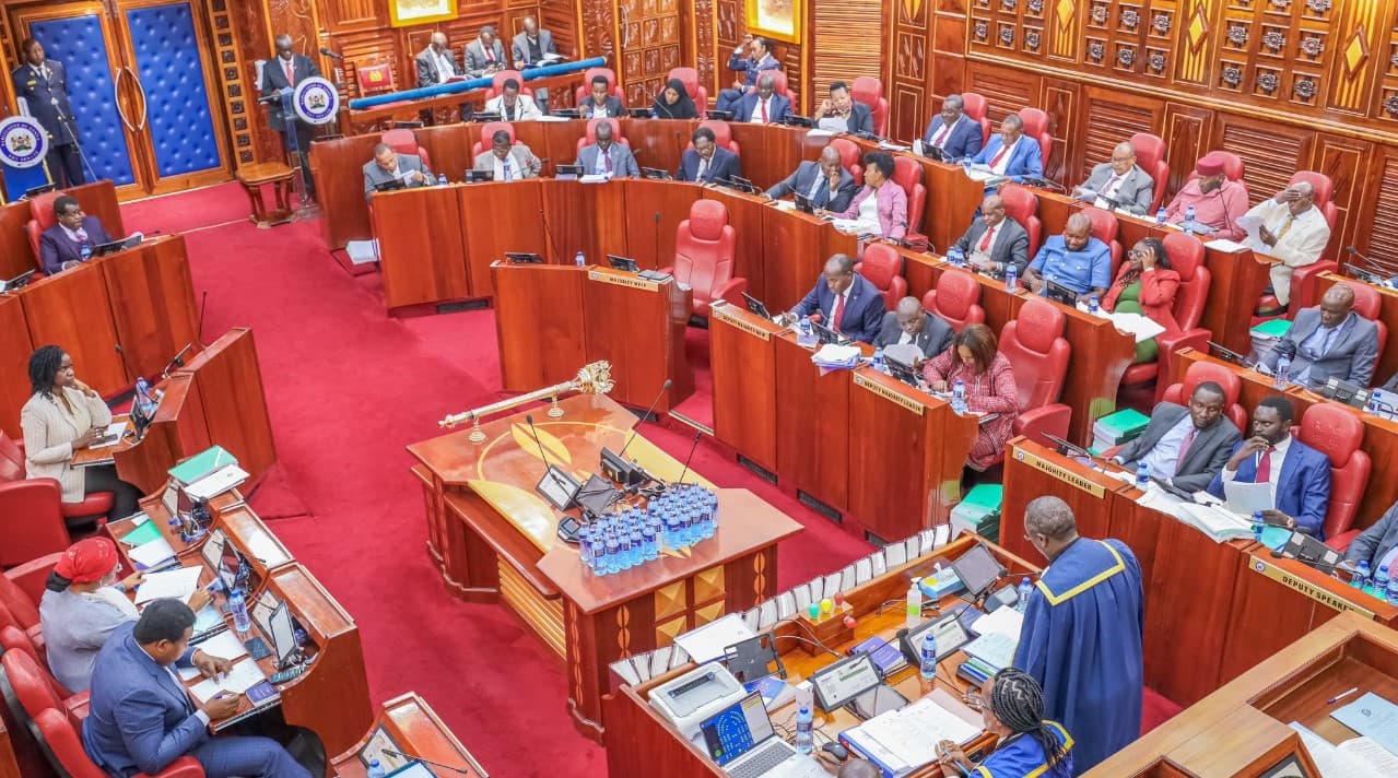 Senate Schedules Public Hearing on Proposed Term Limit Extension