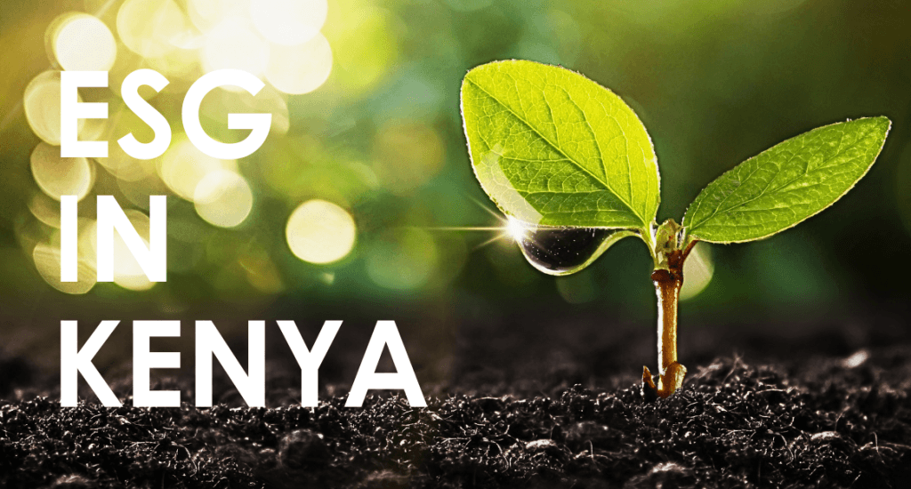 ESG Gaps Persist for Workers in Kenya's Agribusiness