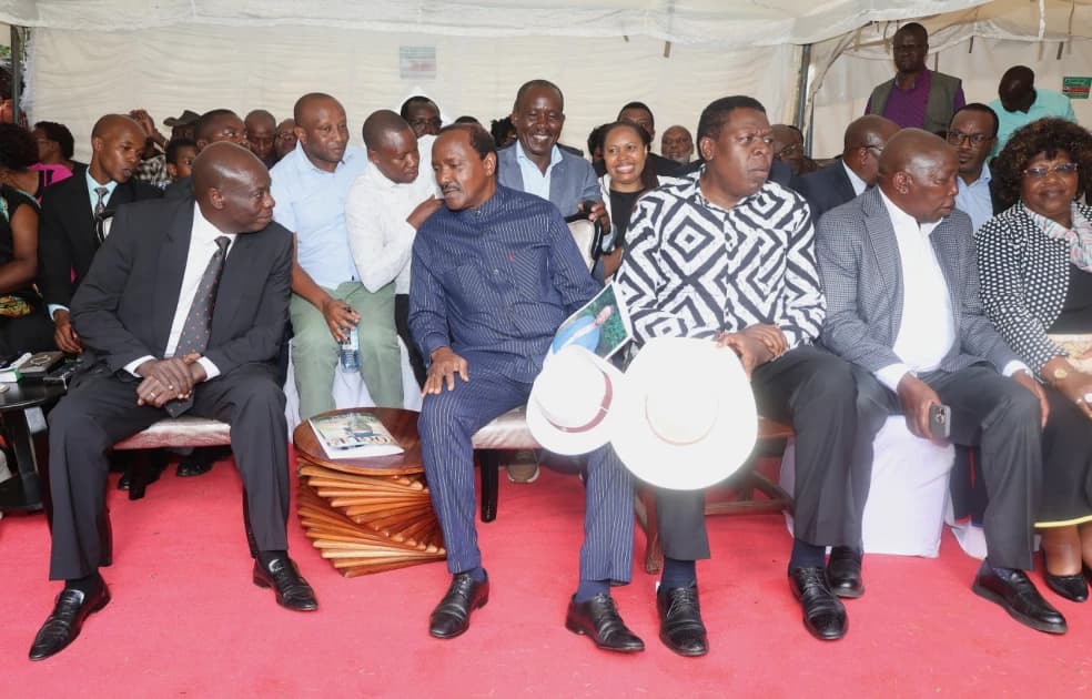 Gachagua: Kalonzo's Nyanza Gains Leave President Ruto 'Confused'