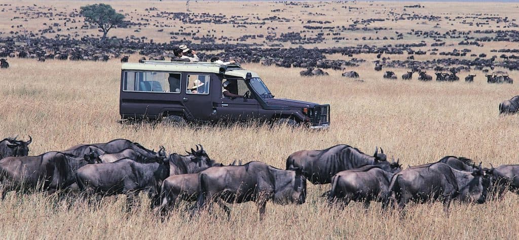 Masai Mara Introduces Strict Safari Rules to Protect Wildebeest Migration