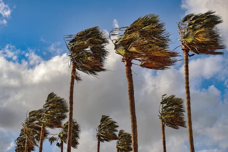 Weather Alert: Strong Winds and High Waves Forecast for Kenyan Coast and Highlands