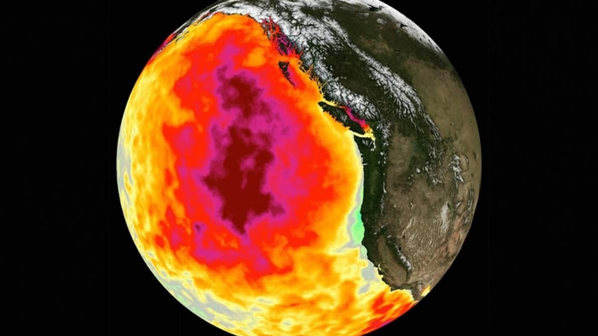 North Pacific Records Hottest Summer, Scientists Baffled by 'Warm Blob'