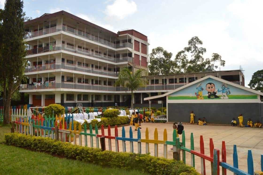 The New Academic Giants: KCSE 2025 Results Upend Kenya’s School Hierarchy