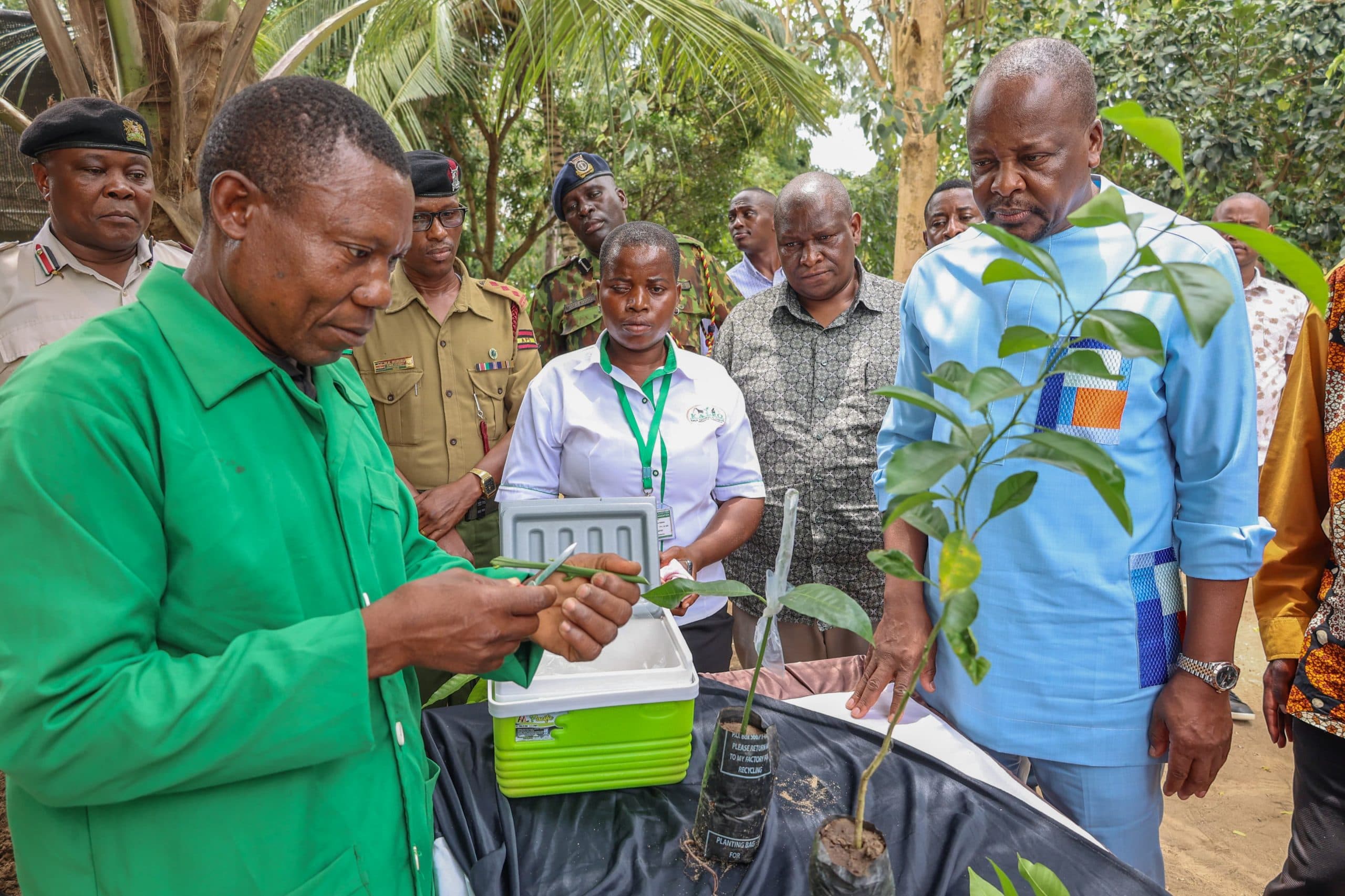 Kenya Tackles 5-Billion Egg Deficit with Tax Cuts and Major SA Investment