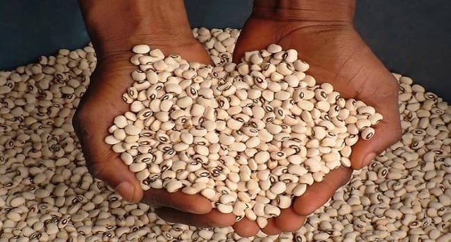 State Proposes Treason Charges for Fake Seed Sellers