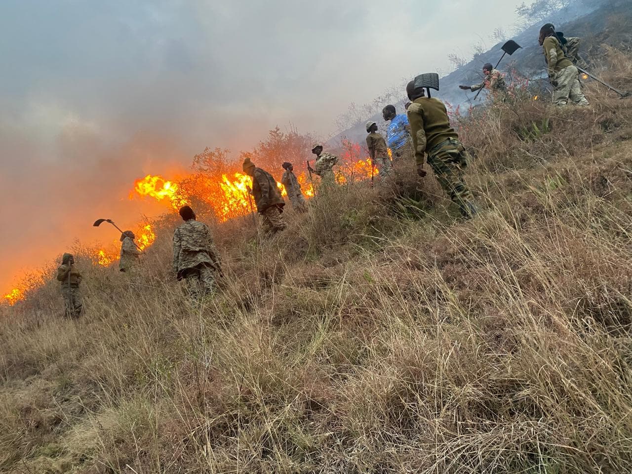 Inferno Tamed: KWS Rangers Battle Wildfire at Lake Nakuru Park