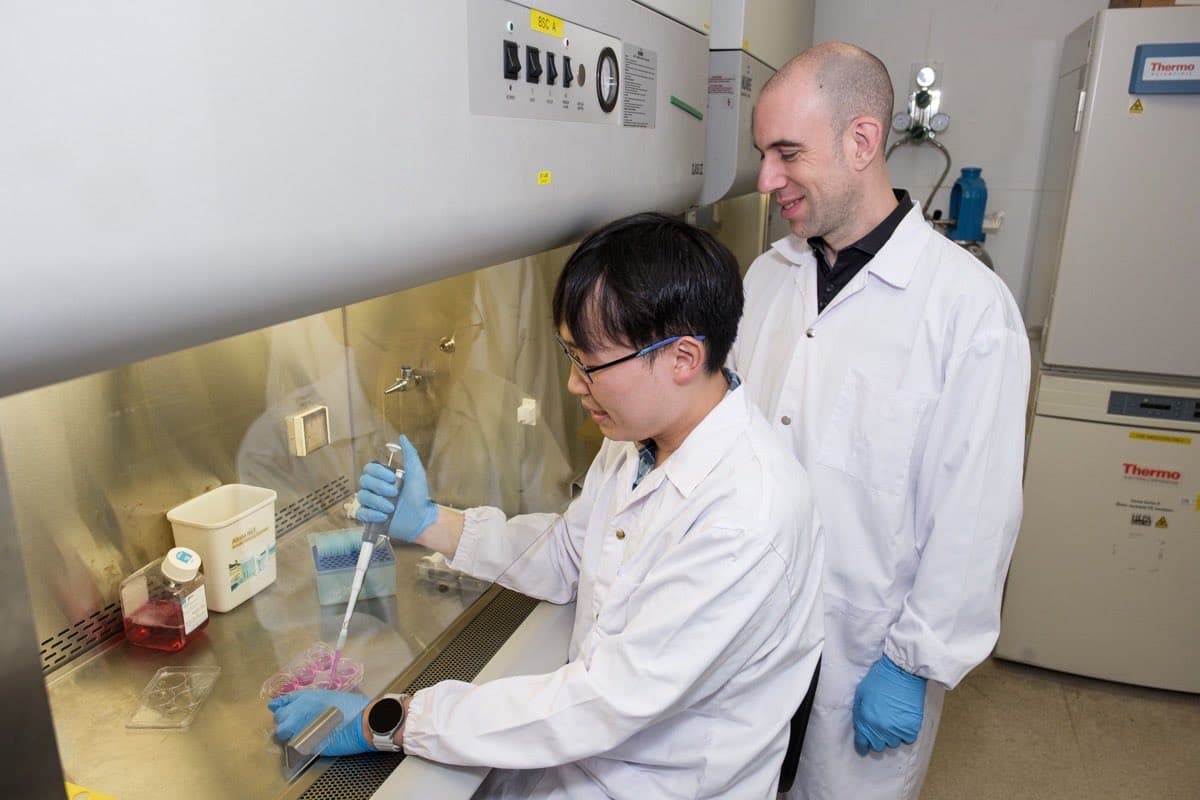 Scientists Unlock Biological Sabotage Behind Non-Healing Chronic Wounds