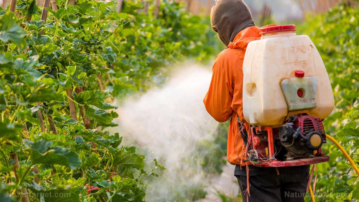 Silent Killer: Why Farmers Are Buying the Wrong Pesticides