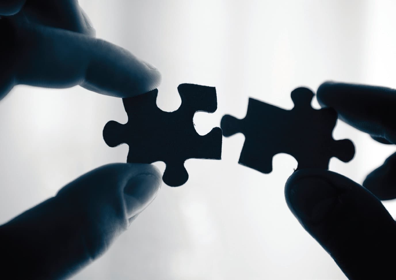 Adapt or Die: Why Strategic Partnerships Are No Longer Optional