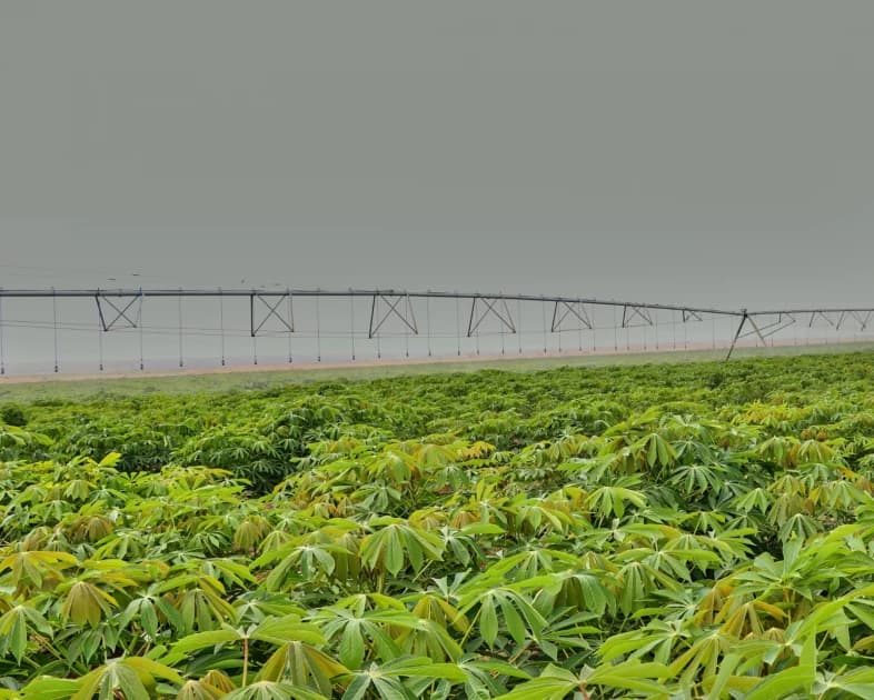 State Bets Big: Galana Kulalu Now a Special Economic Zone