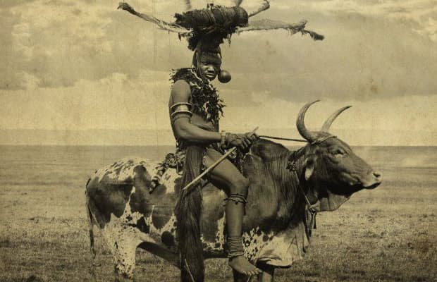 Luo Divorce: The Unbreakable Bond of the Final Cow and Goat