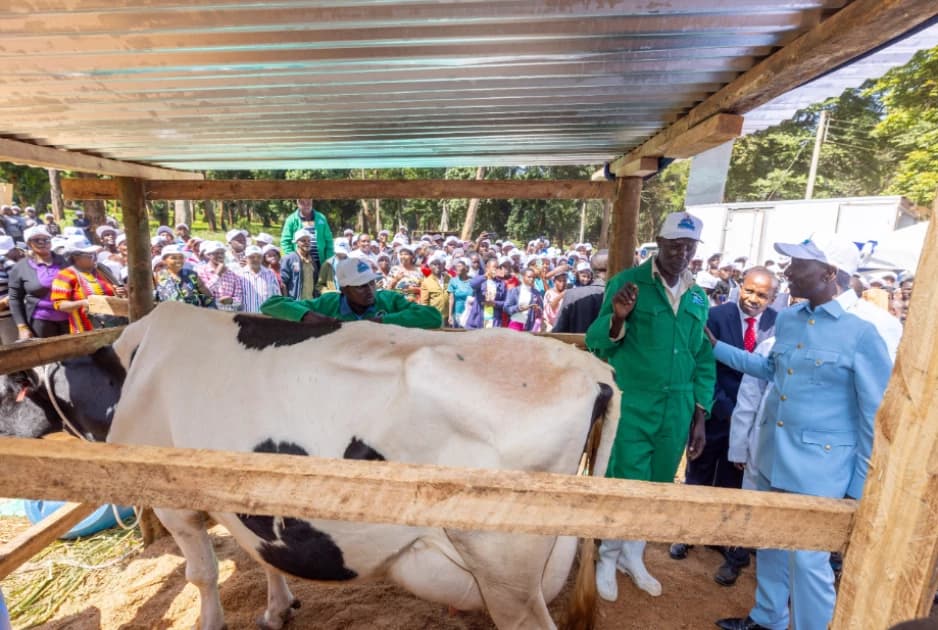 Kenyan Dairy Farmers Face Crisis Over Delayed Payments and High Costs