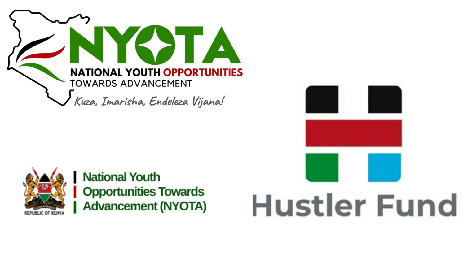 Hustler Fund Defaulters Ineligible for Ksh.50,000 NYOTA Grants