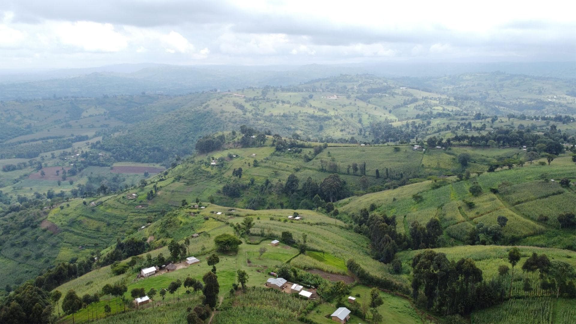 Seeds of Despair: Rift Farmers Stare at Empty Depots as Rains Loom
