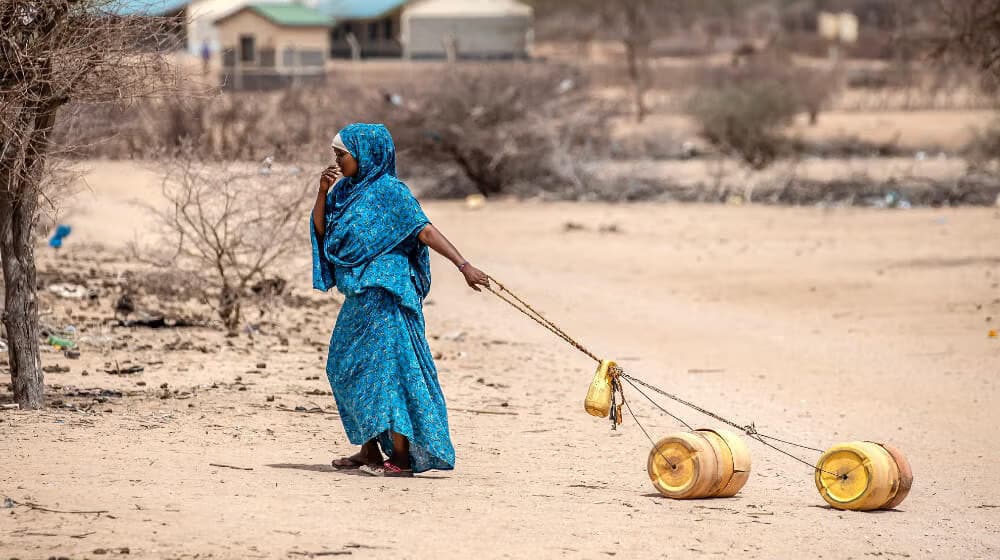 Climate’s Hidden Toll: How Droughts Are Fueling a Sh41 Billion Violence Crisis Against Kenyan Women
