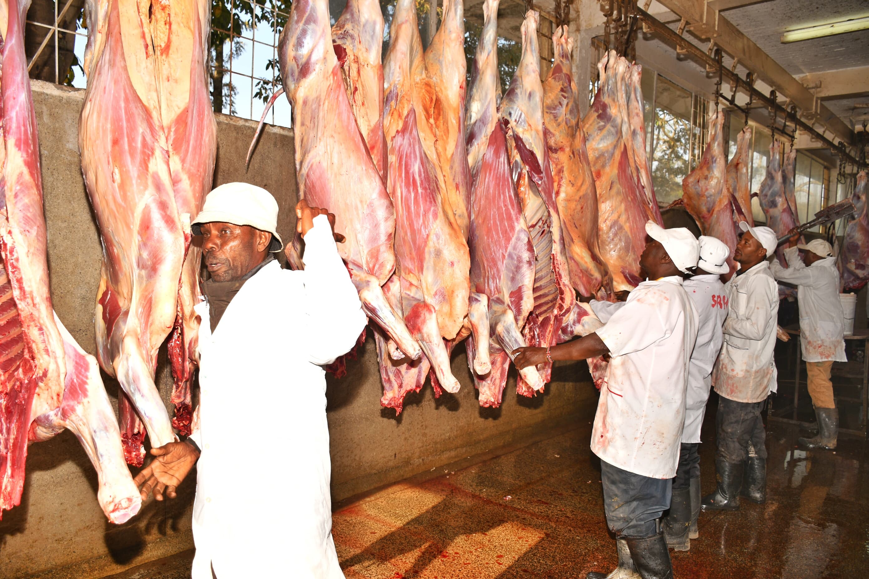 Gulf Meat Strategy Flops as Kenya Hits Reset Button