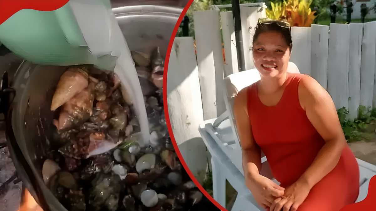 Viral Death: Vlogger Killed by Toxic `Devil Crab` Stunt
