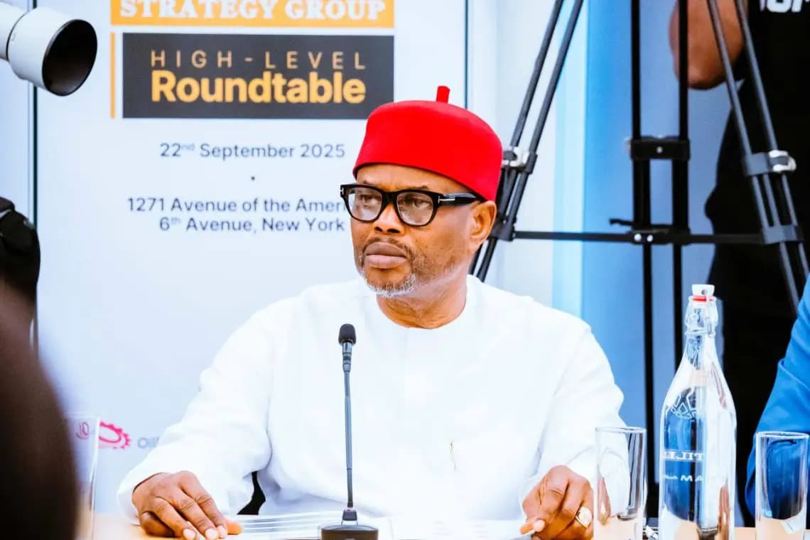 Certificate Scandal Envelops Ex-Minister Uche Nnaji