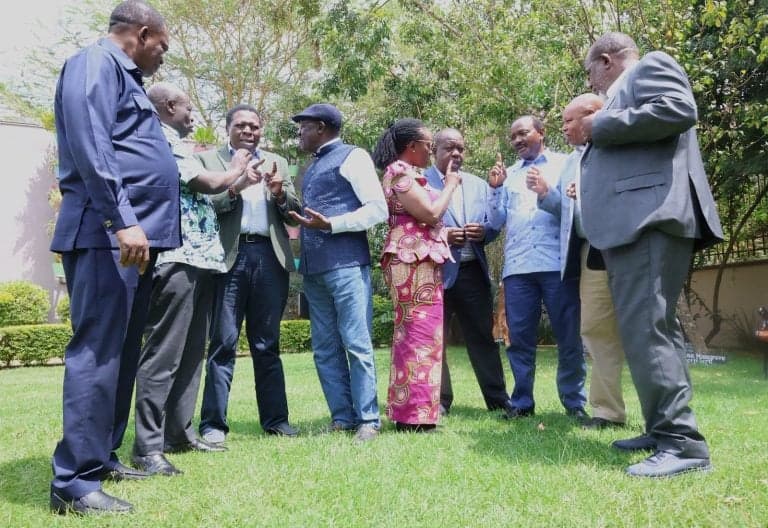 Mukurweini MP Warns Opposition Against Division Ahead of 2027 Polls