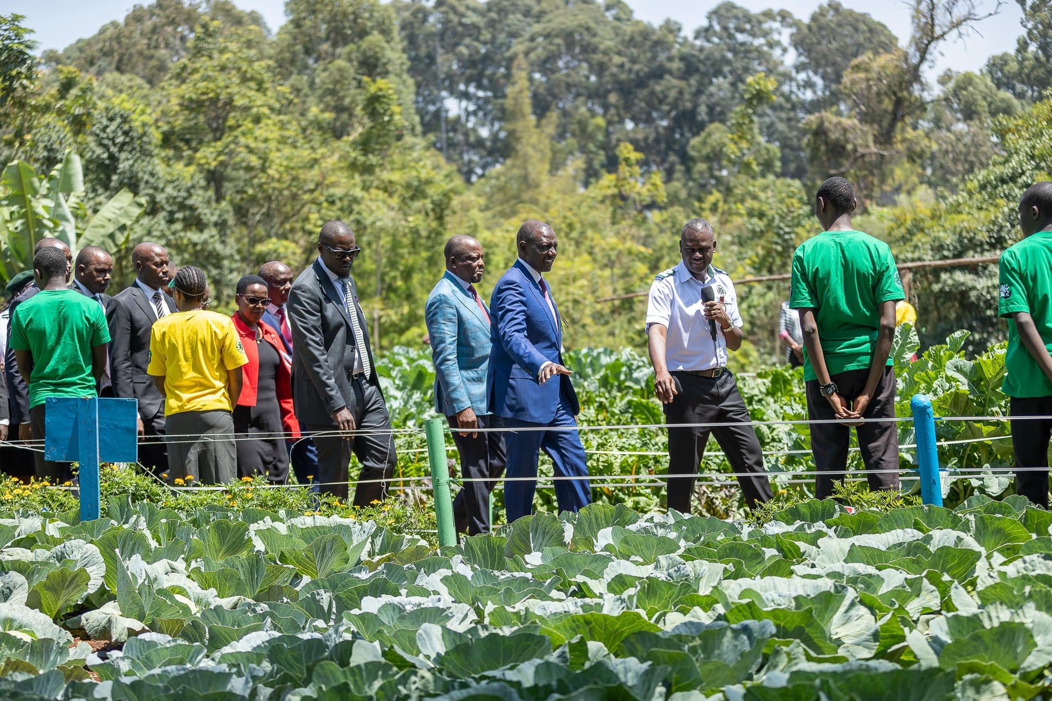 Ruto Directs End to Raw Agricultural Exports, Prioritises Value Addition