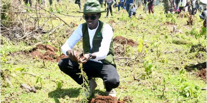Kenyan Environmentalist Launches Audacious World Record Tree Planting Marathon